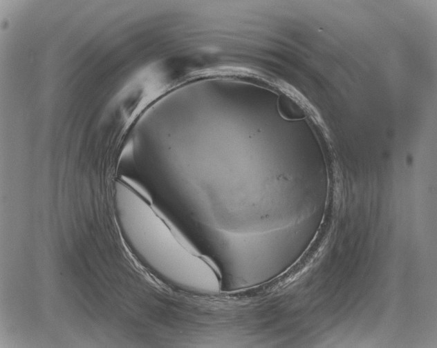 X0000084560945200703021420