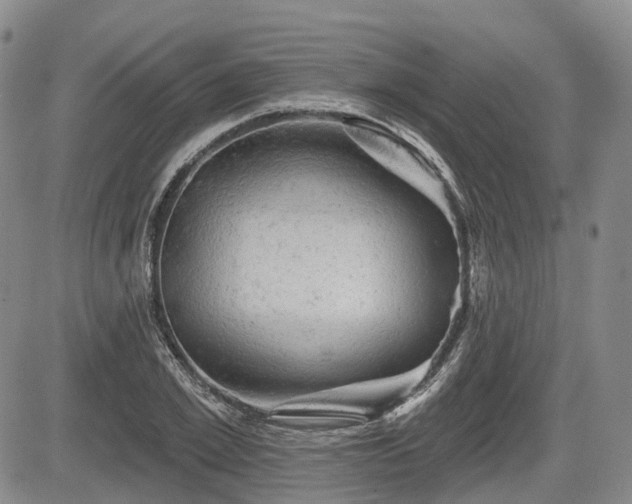 X0000084560981200703021419