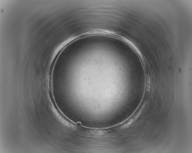 X0000084561003200703021418