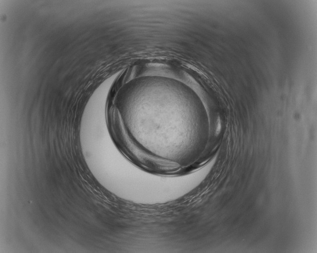 X0000084561010200703021417