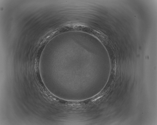 X0000084561014200703021418