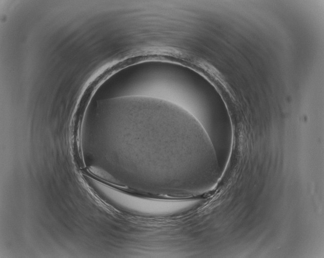 X0000084561024200703021418