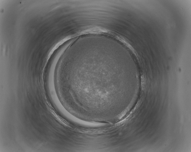 X0000084561026200703021418
