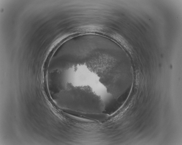 X0000084561031200703021418