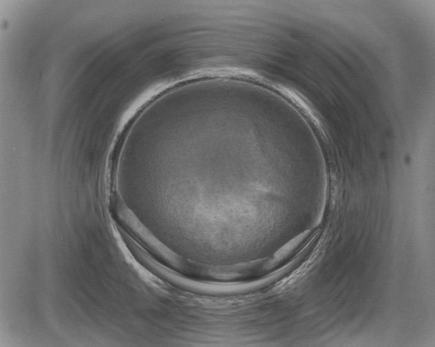X0000084561046200703021418