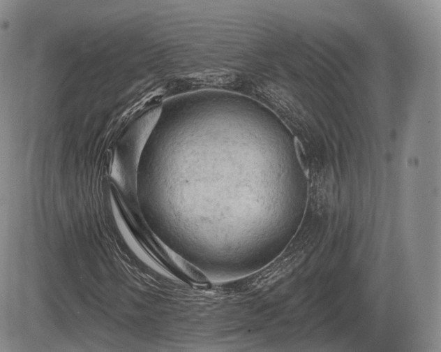 X0000084561058200703021417