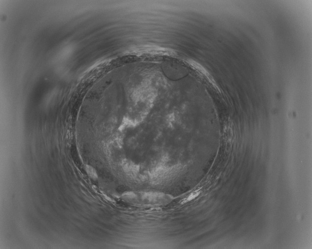 X0000084561063200703021417