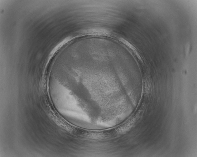 X0000084561074200703021417