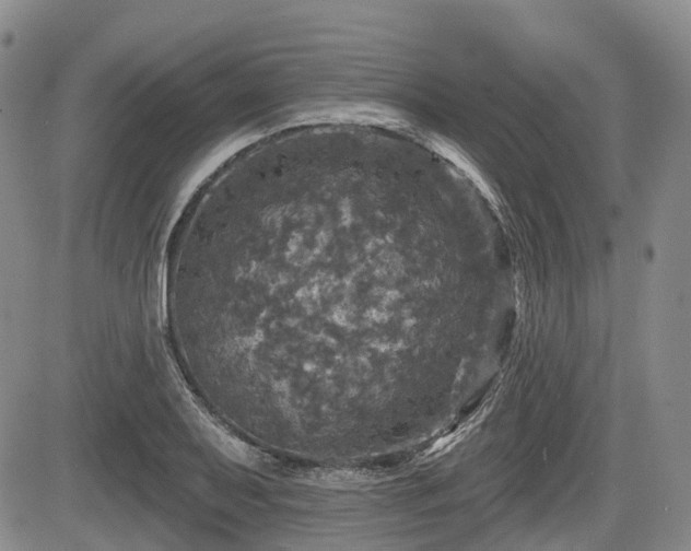 X0000084561079200703021417