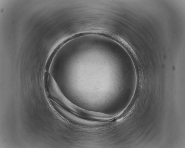 X0000084561085200703021417
