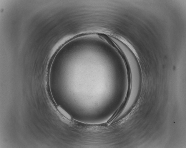 X0000084561093200703021417