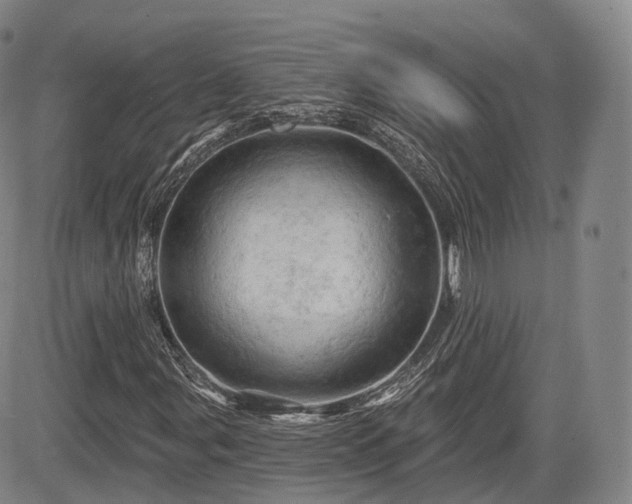 X0000084561107200703021416