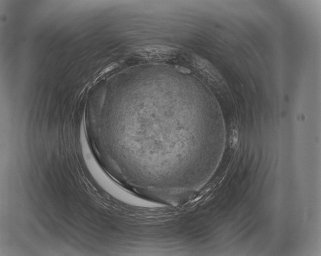 X0000084561108200703021416