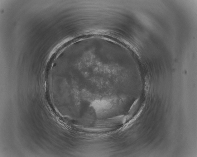 X0000084561117200703021416