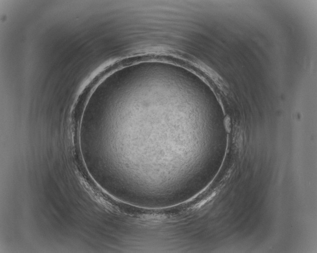 X0000084561118200703021416