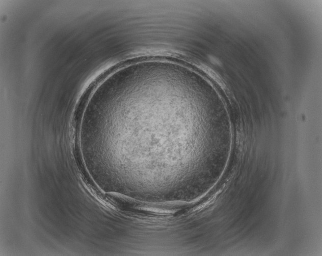X0000084561119200703021416
