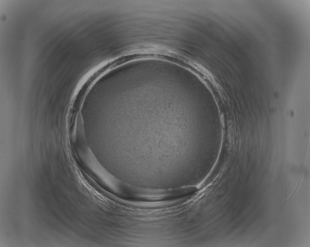 X0000084561120200703021416