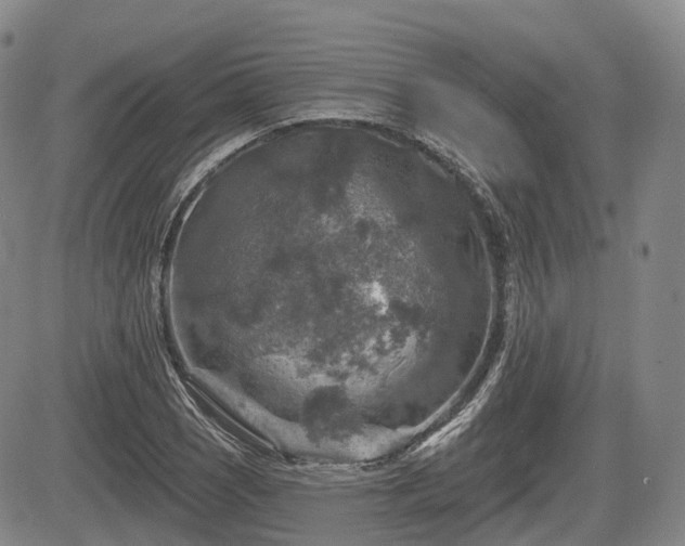 X0000084561121200703021416