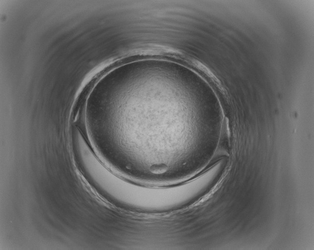 X0000084561122200703021416