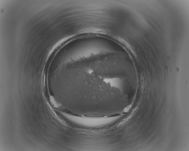 X0000084561125200703021416