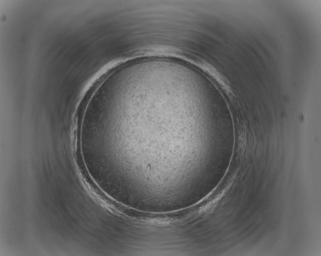 X0000084561126200703021416