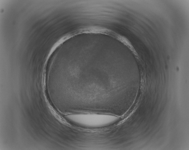 X0000084561130200703021416