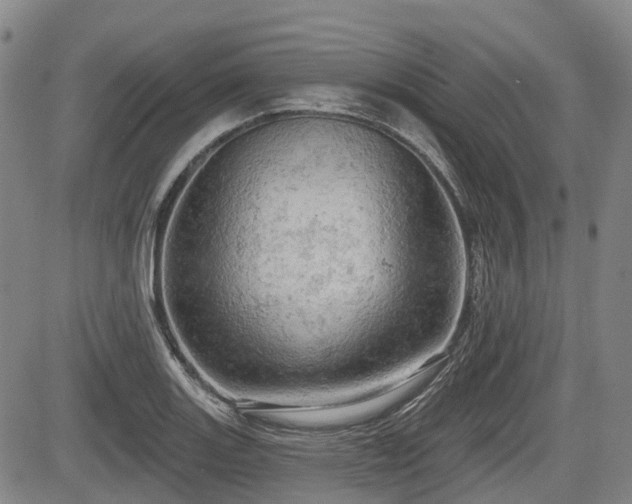 X0000084561131200703021416