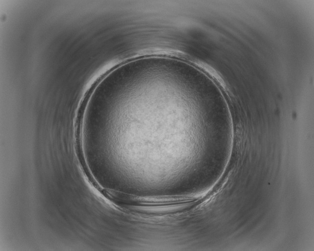 X0000084561135200703021416