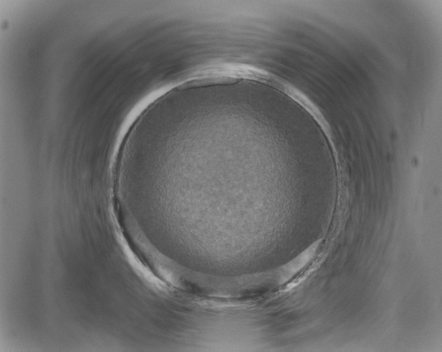 X0000084561152200703021417