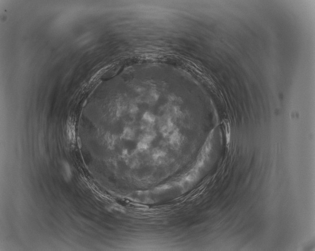 X0000084561155200703021416