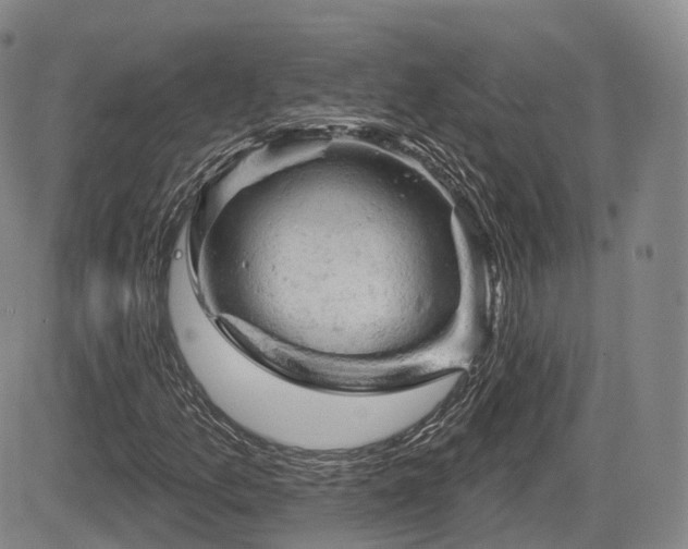 X0000084561157200703021416