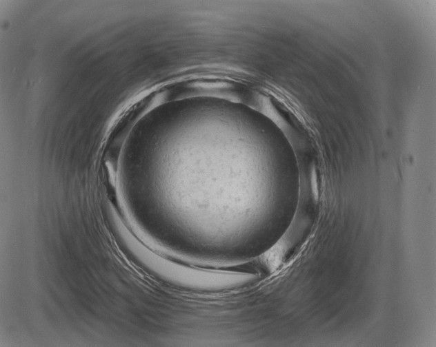 X0000084561164200703021416