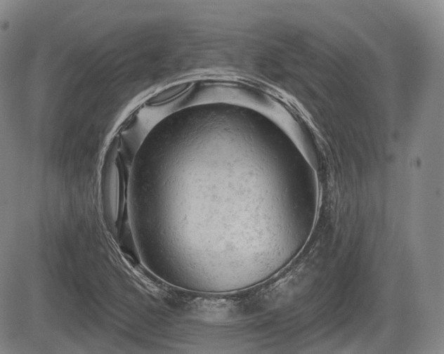X0000084561168200703021416