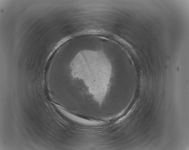 X0000084561170200703021416