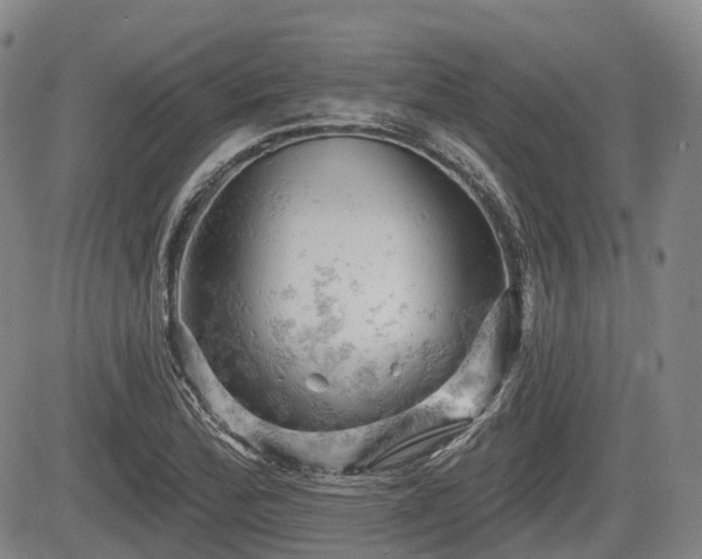 X0000084561172200703021415