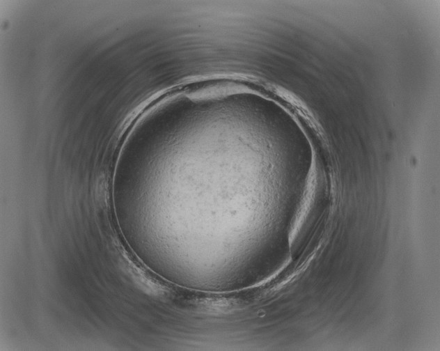 X0000084561177200703021415