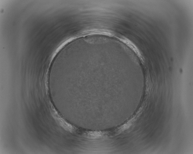 X0000084561182200703021415