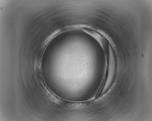 X0000084561193200703021415