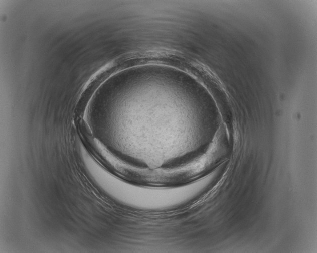 X0000084561210200703021414