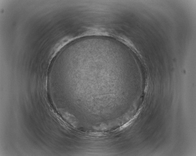 X0000084561220200703021415