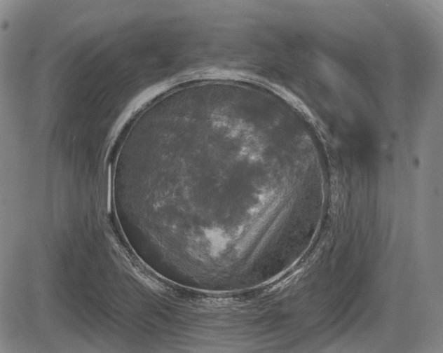 X0000084561223200703021415
