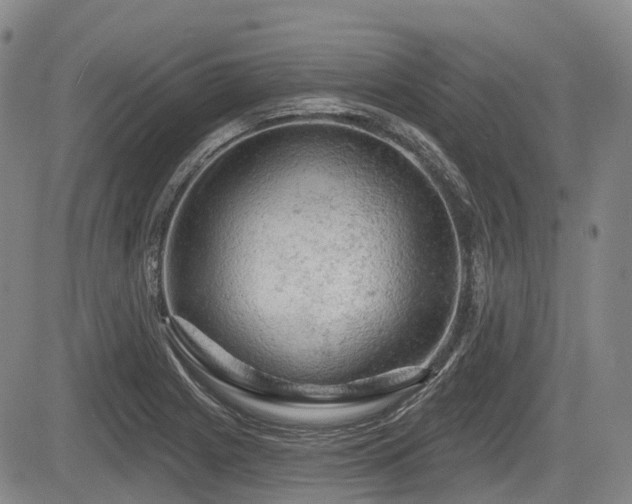 X0000084561225200703021415