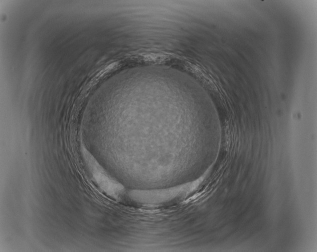 X0000084561249200703021414
