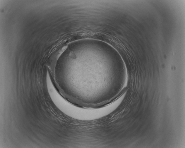 X0000084561250200703021414