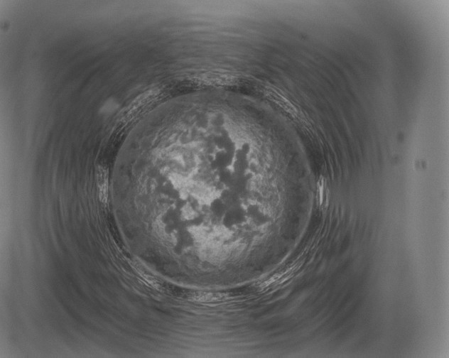 X0000084561251200703021414
