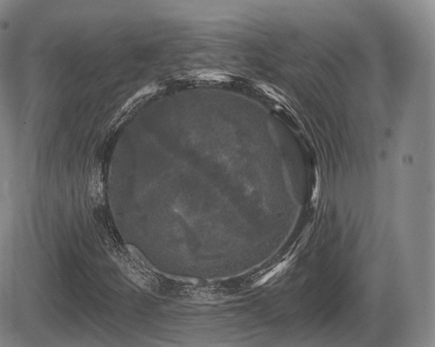 X0000084561252200703021414