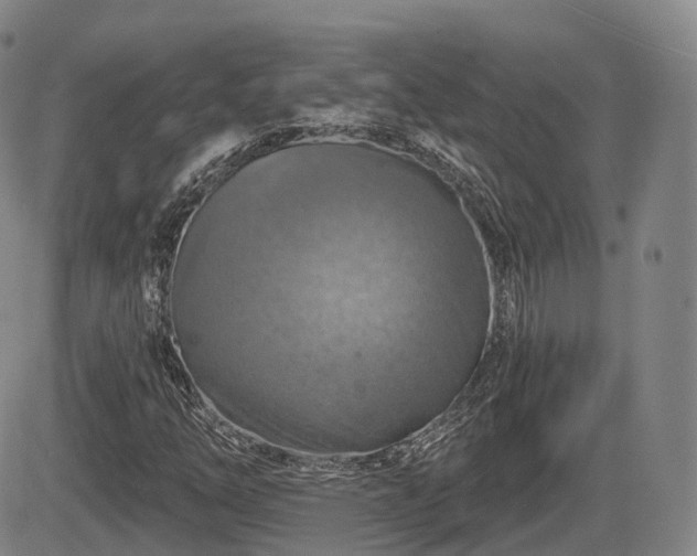 X0000084561254200703021414