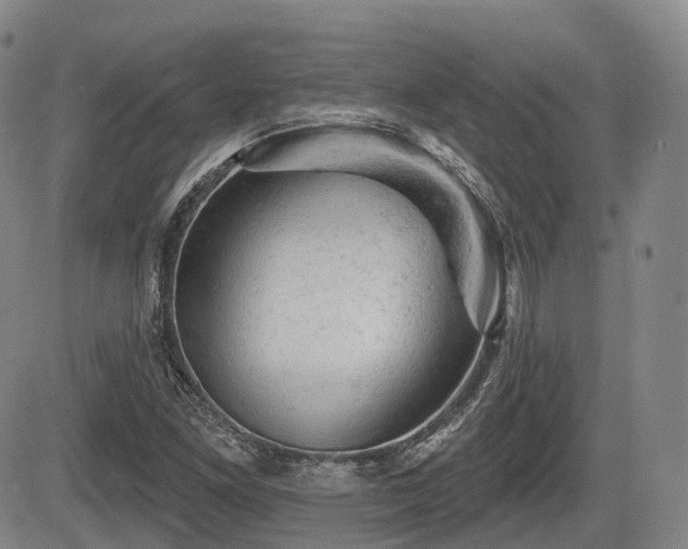 X0000084561261200703021414