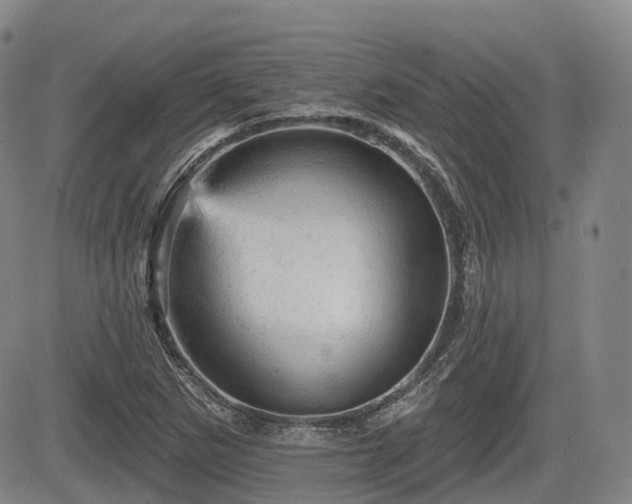 X0000084561265200703021414