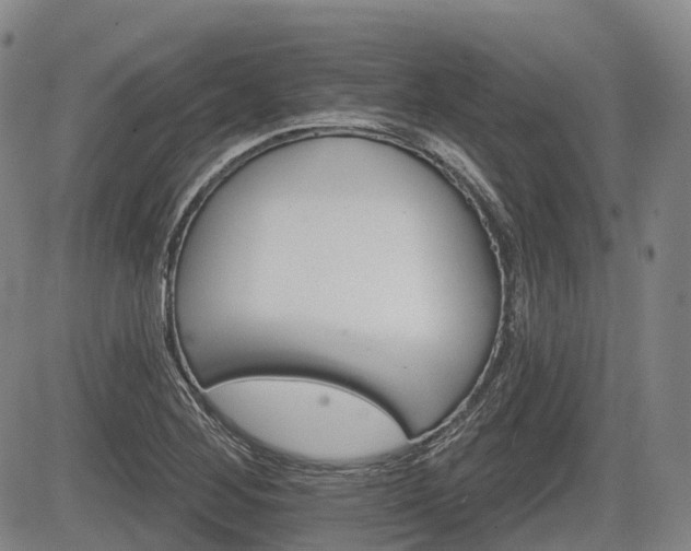 X0000084561268200703021414
